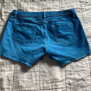 Carve Designs - Oahu Hydro Blue Shorts - 4